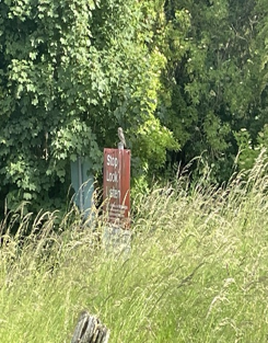 image_4.png